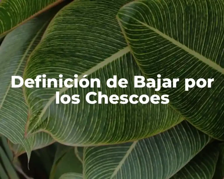 Definición de Bajar por los Chescoes