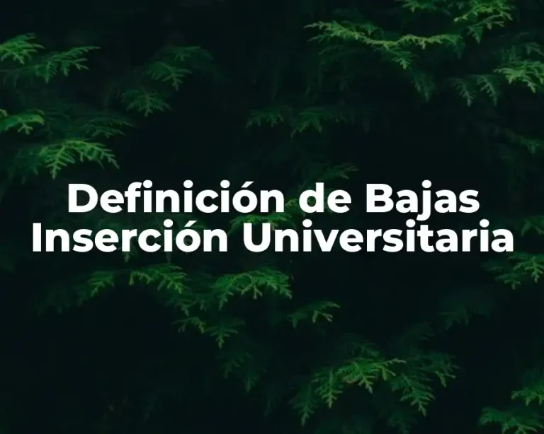 Definición de Bajas Inserción Universitaria