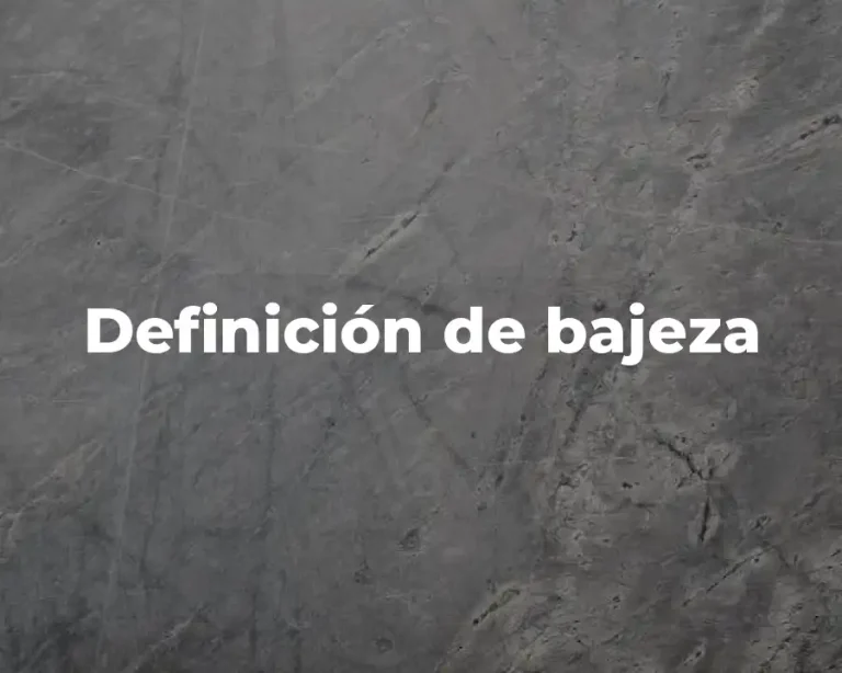 Definición de bajeza
