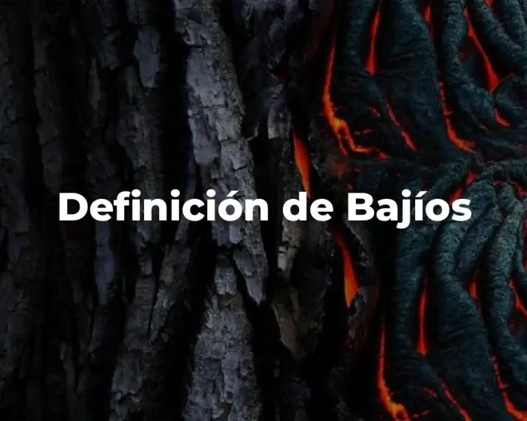 Definición de Bajíos