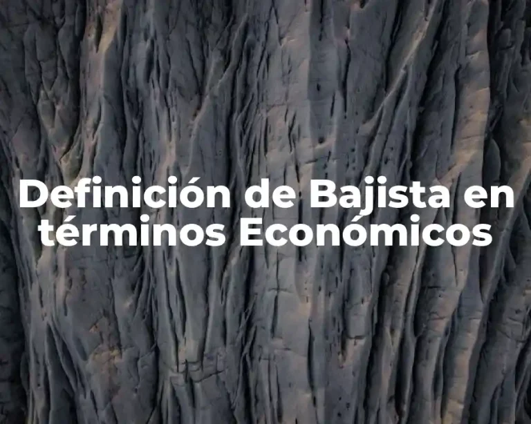Definición de Bajista en términos Económicos