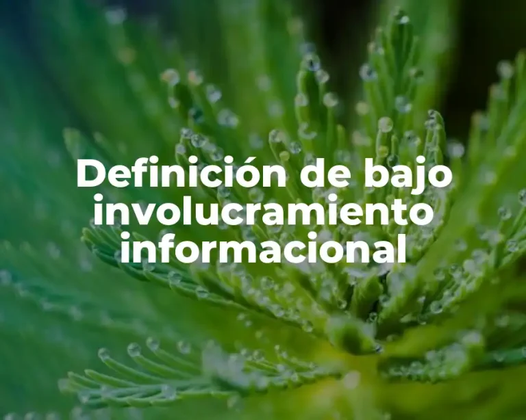 Definición de bajo involucramiento informacional