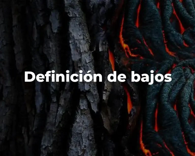 Definición de bajos