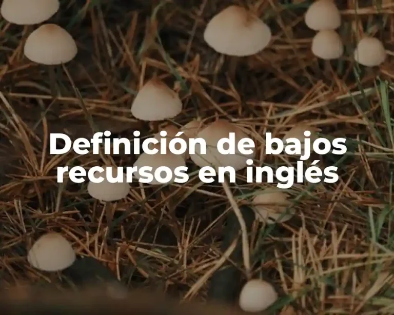 Definición de bajos recursos en inglés