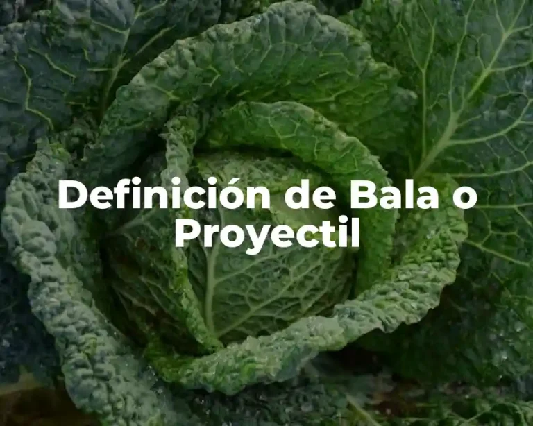 Definición de Bala o Proyectil