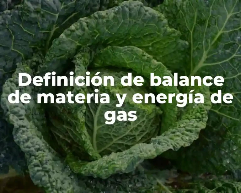 Definición de balance de materia y energía de gas
