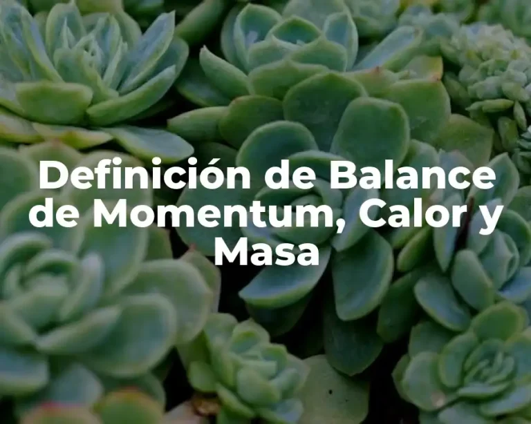 Definición de Balance de Momentum, Calor y Masa