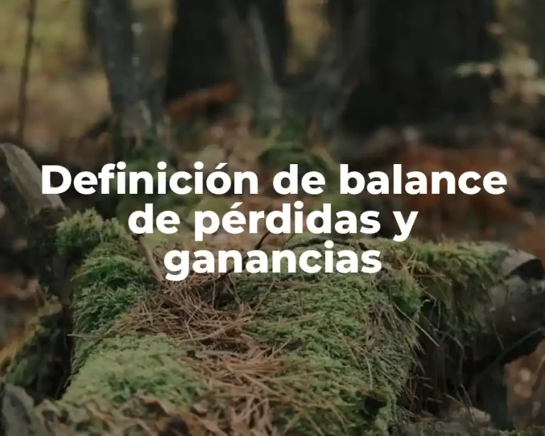 Definición de balance de pérdidas y ganancias