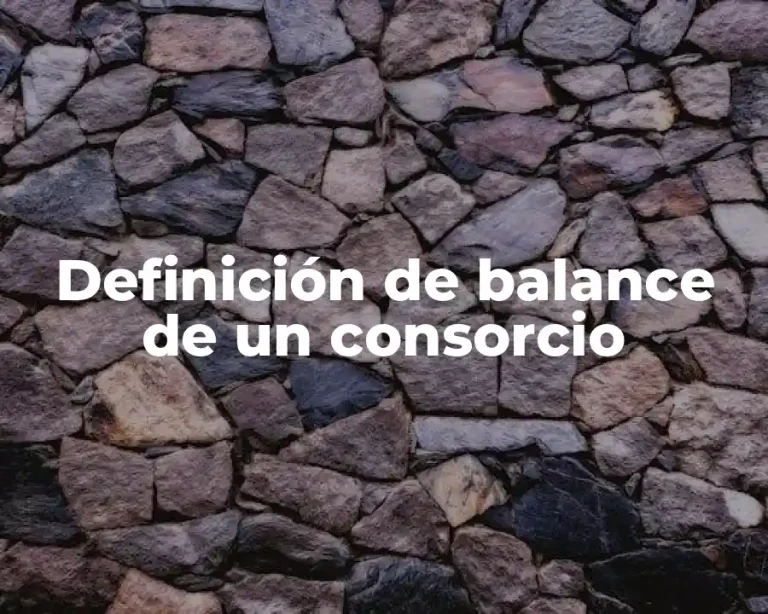 Definición de balance de un consorcio