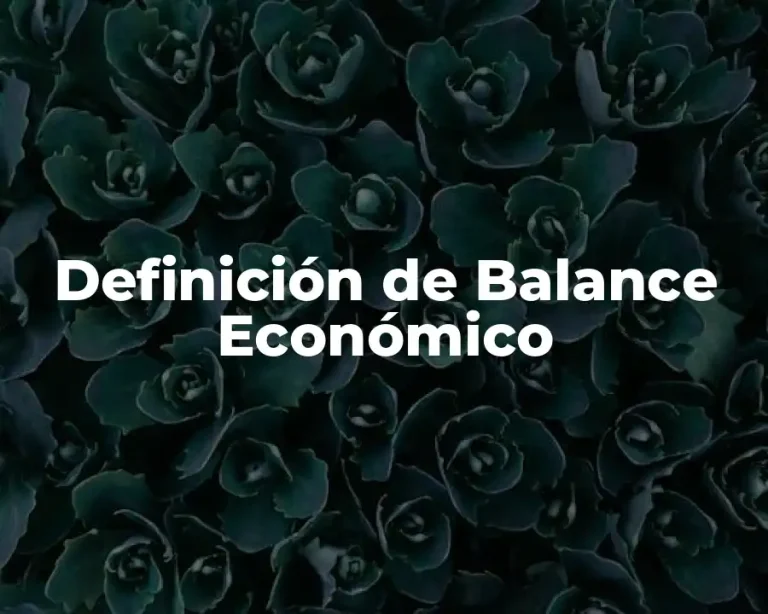 Definición de Balance Económico