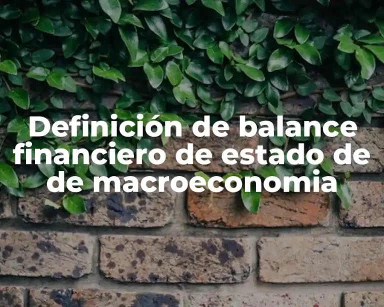 Definición de balance financiero de estado de de macroeconomia