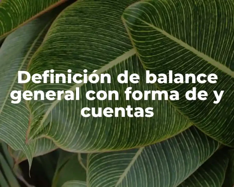 Definición de balance general con forma de y cuentas