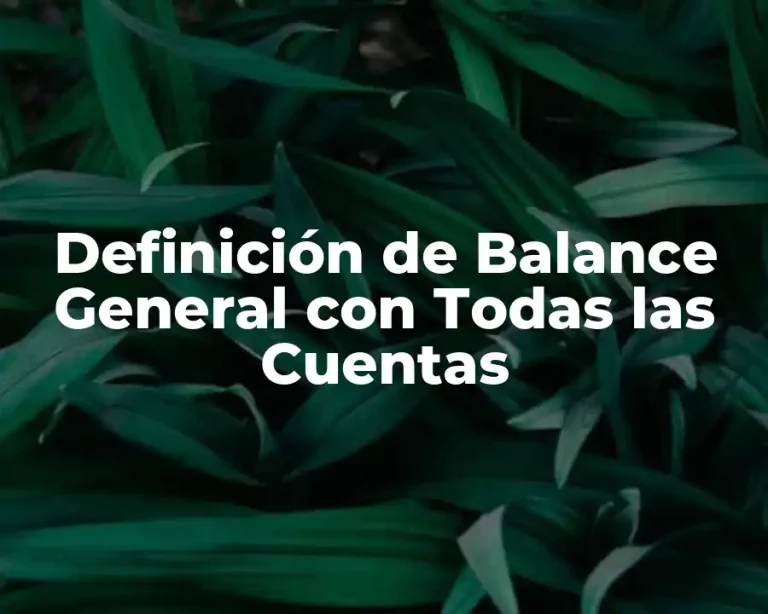 Definición de Balance General con Todas las Cuentas