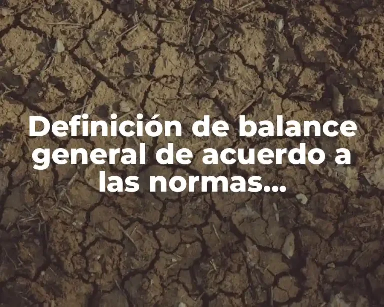 Definición de balance general de acuerdo a las normas internacionales de información financiera (NIF)