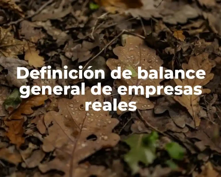 Definición de balance general de empresas reales