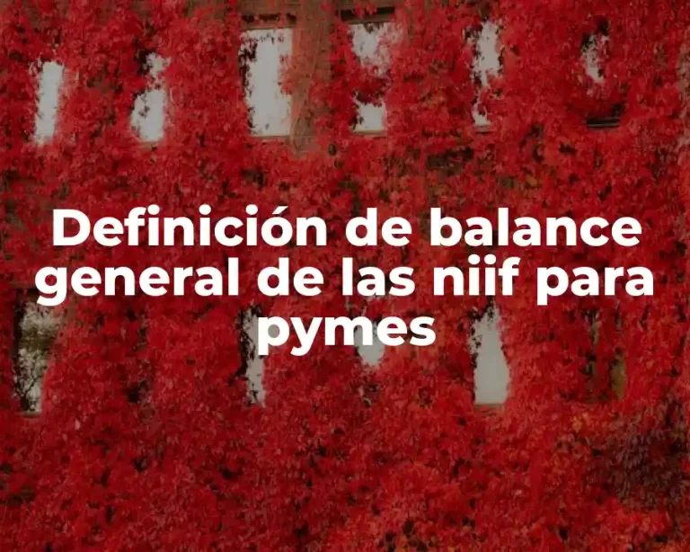 Definición de balance general de las niif para pymes