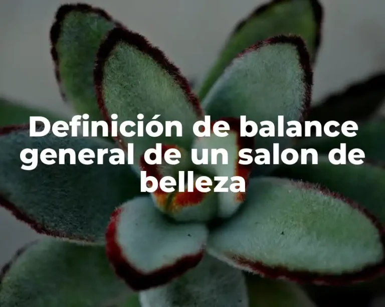 Definición de balance general de un salon de belleza