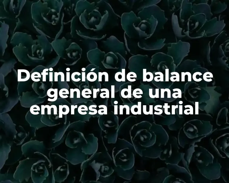 Definición de balance general de una empresa industrial