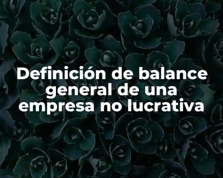 Definición de balance general de una empresa no lucrativa