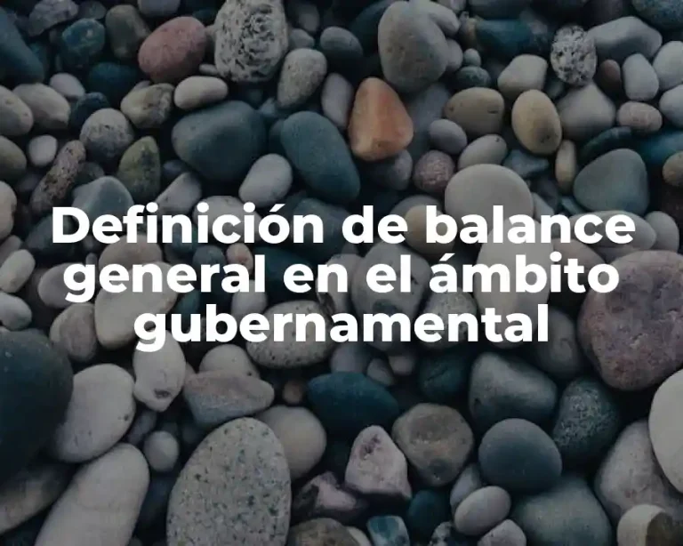 Definición de balance general en el ámbito gubernamental