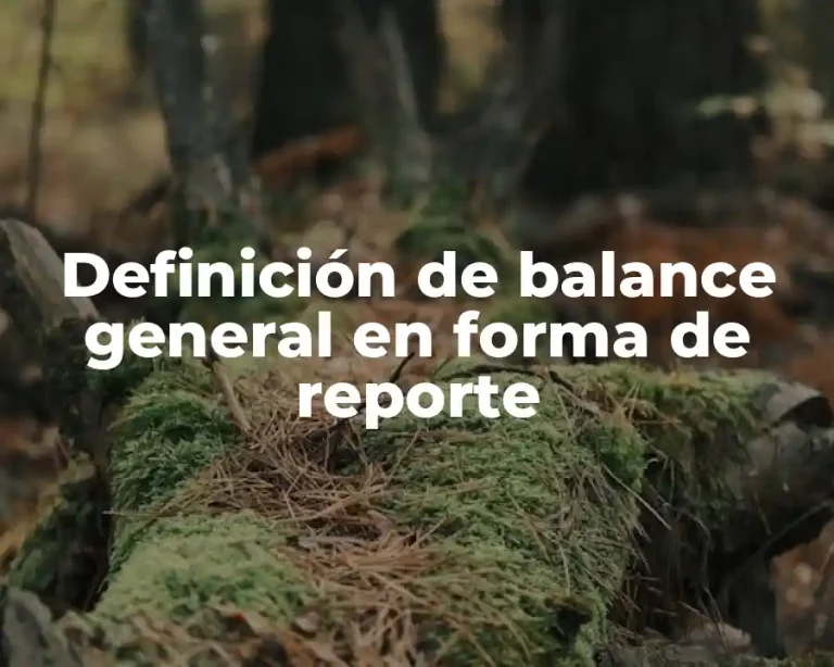 Definición de balance general en forma de reporte