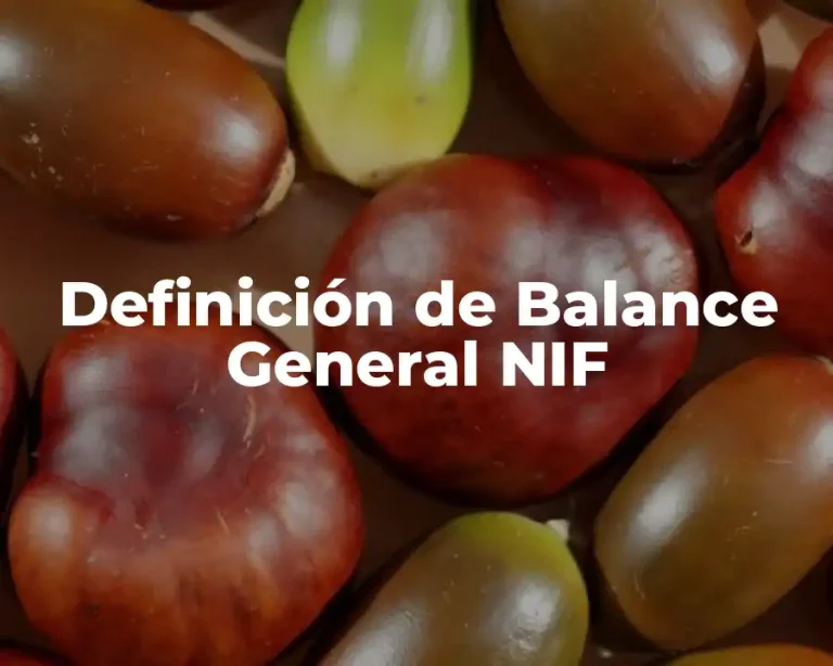 Definición de Balance General NIF