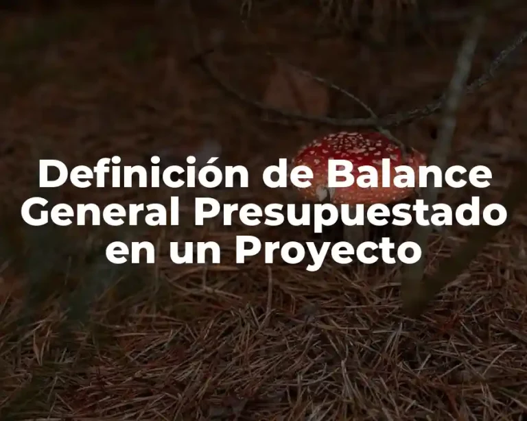 Definición de Balance General Presupuestado en un Proyecto