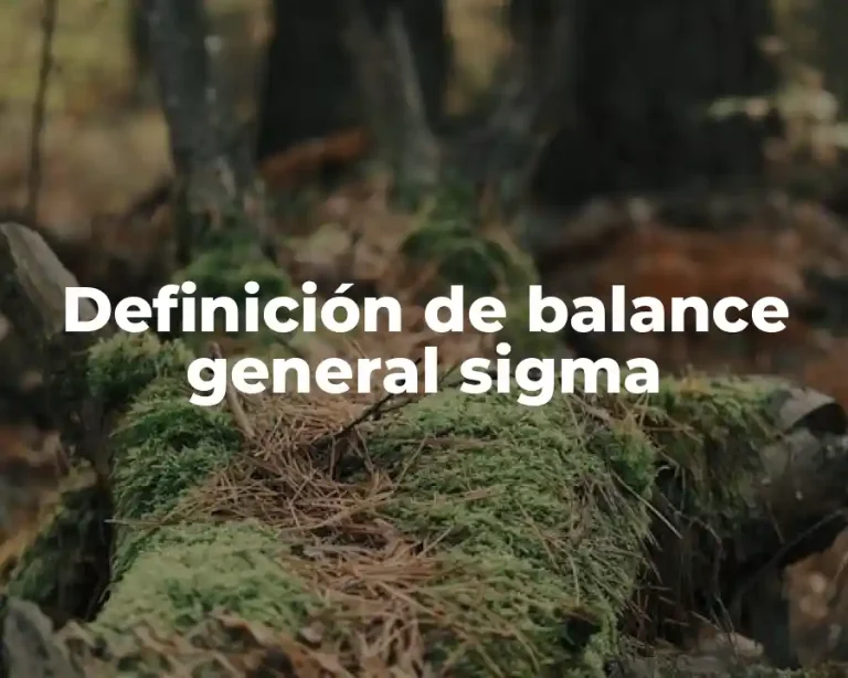 Definición de balance general sigma