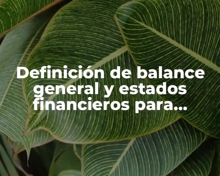 Definición de balance general y estados financieros para personas físicas en México