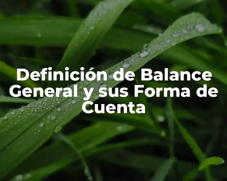 Definición de Balance General y sus Forma de Cuenta