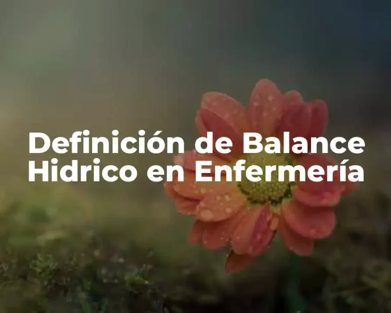 Definición de Balance Hidrico en Enfermería