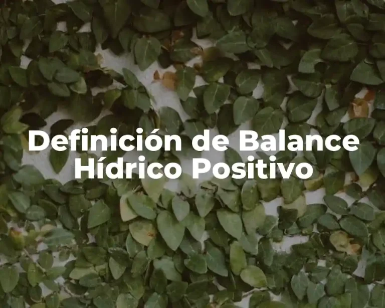 Definición de Balance Hídrico Positivo