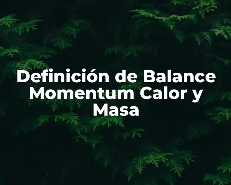 Definición de Balance Momentum Calor y Masa