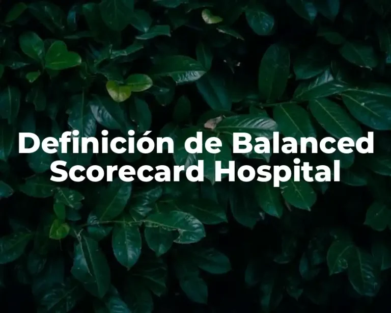 Definición de Balanced Scorecard Hospital