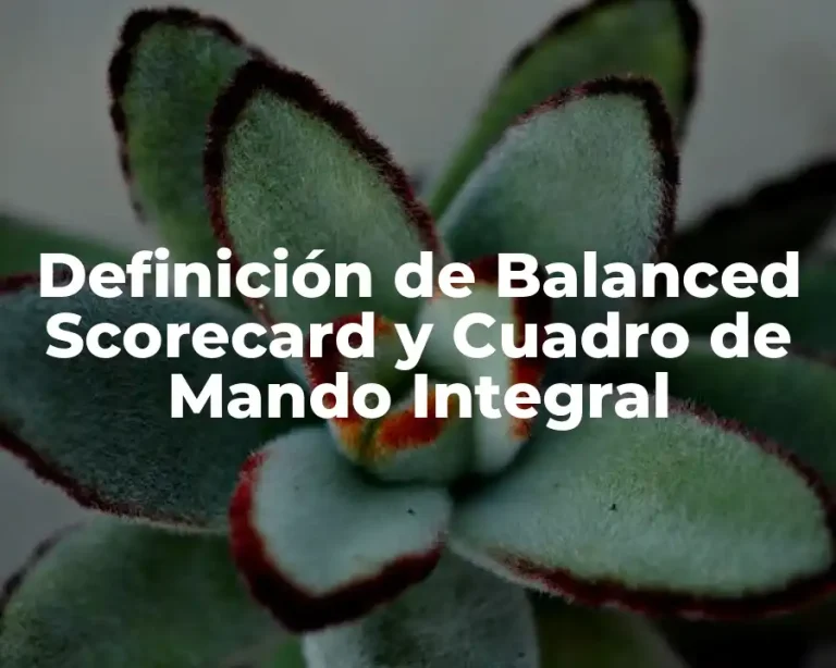 Definición de Balanced Scorecard y Cuadro de Mando Integral
