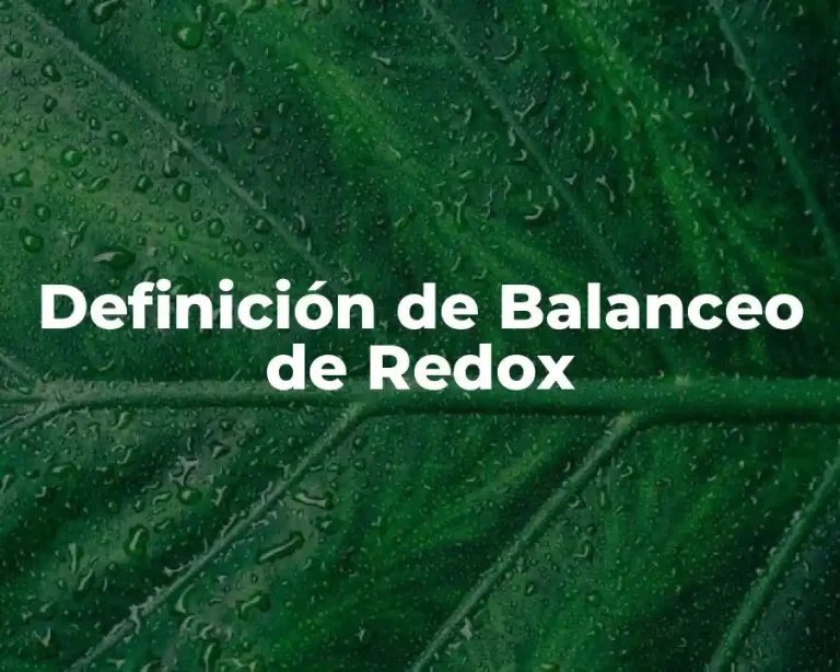 Definición de Balanceo de Redox