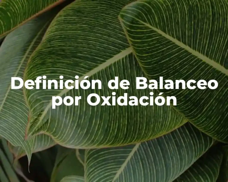 Definición de Balanceo por Oxidación