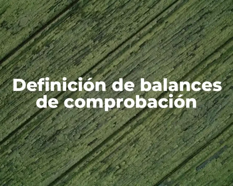 Definición de balances de comprobación