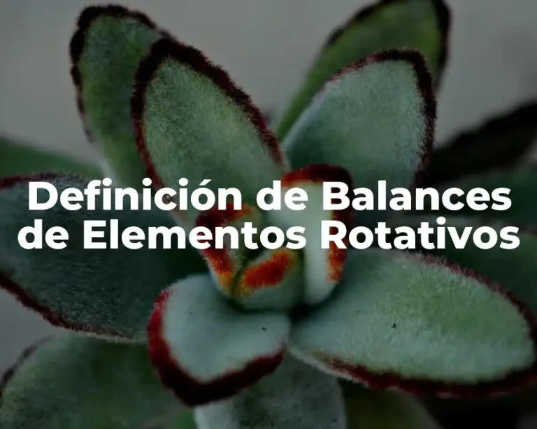 Definición de Balances de Elementos Rotativos