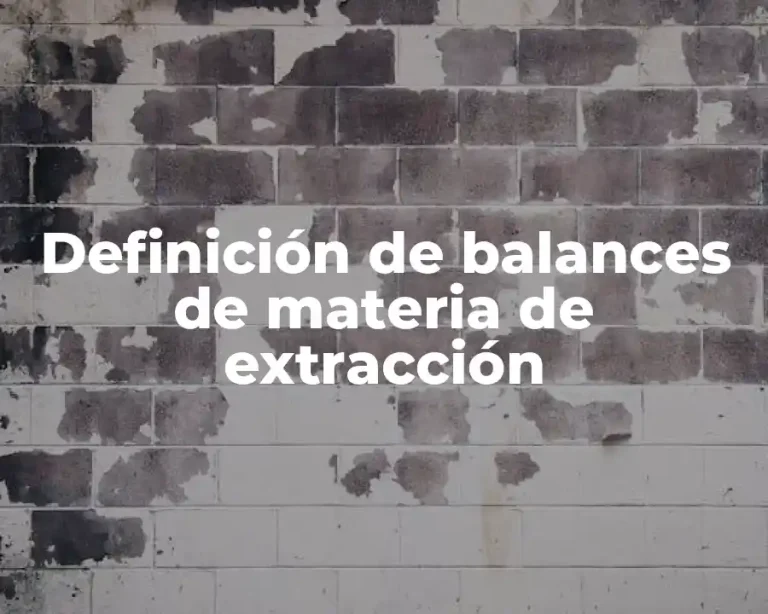 Definición de balances de materia de extracción
