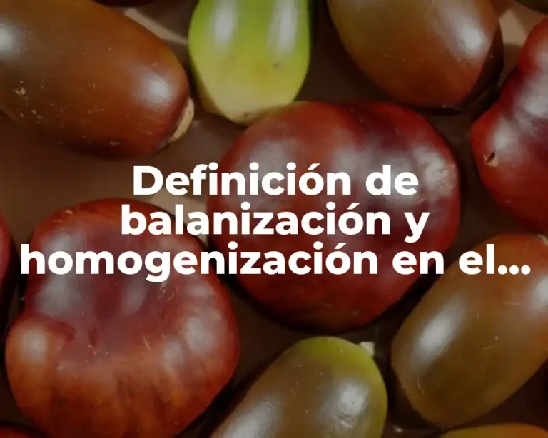 Definición de balanización y homogenización en el turismo