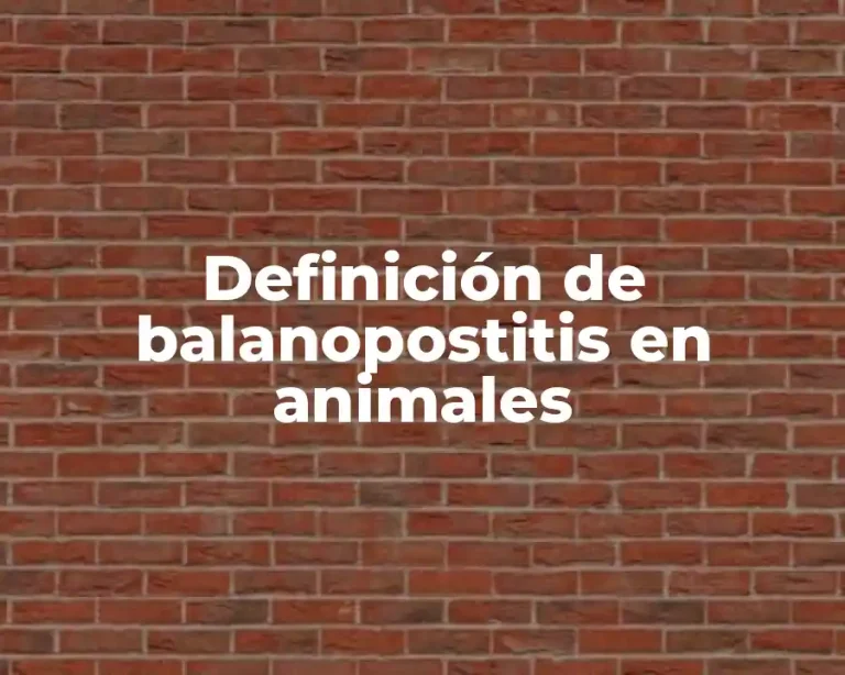 Definición de balanopostitis en animales