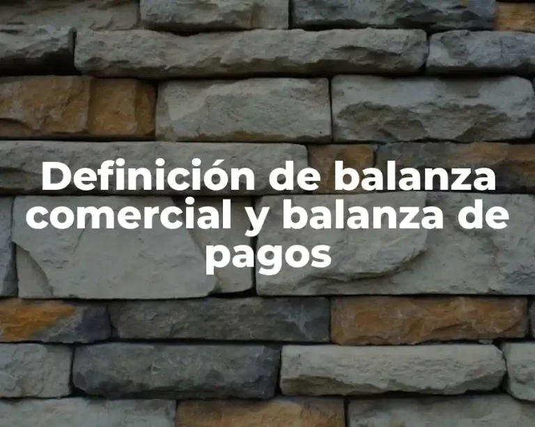 Definición de balanza comercial y balanza de pagos