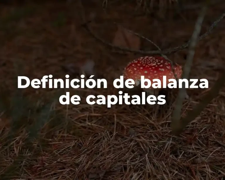 Definición de balanza de capitales