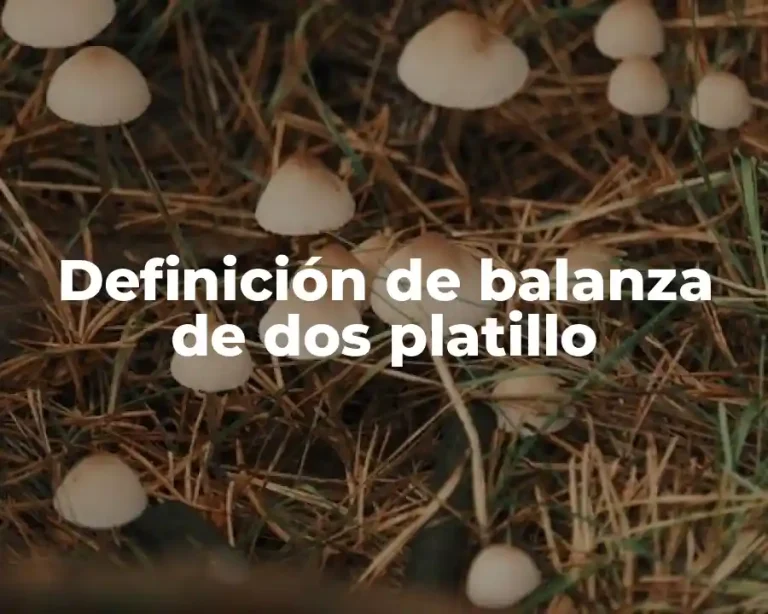 Definición de balanza de dos platillo