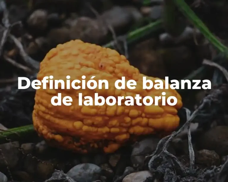 Definición de balanza de laboratorio