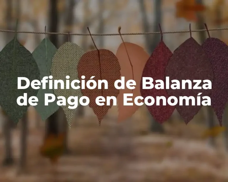 Definición de Balanza de Pago en Economía
