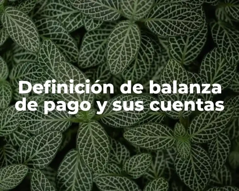 Definición de balanza de pago y sus cuentas