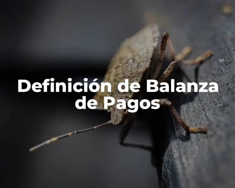 Definición de Balanza de Pagos