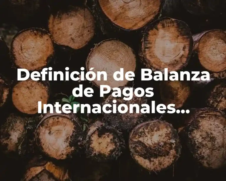 Definición de Balanza de Pagos Internacionales Economía Internacional